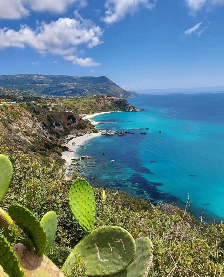 Il Giardino Di Capo Vaticano B&B And Apartments エクステリア 写真
