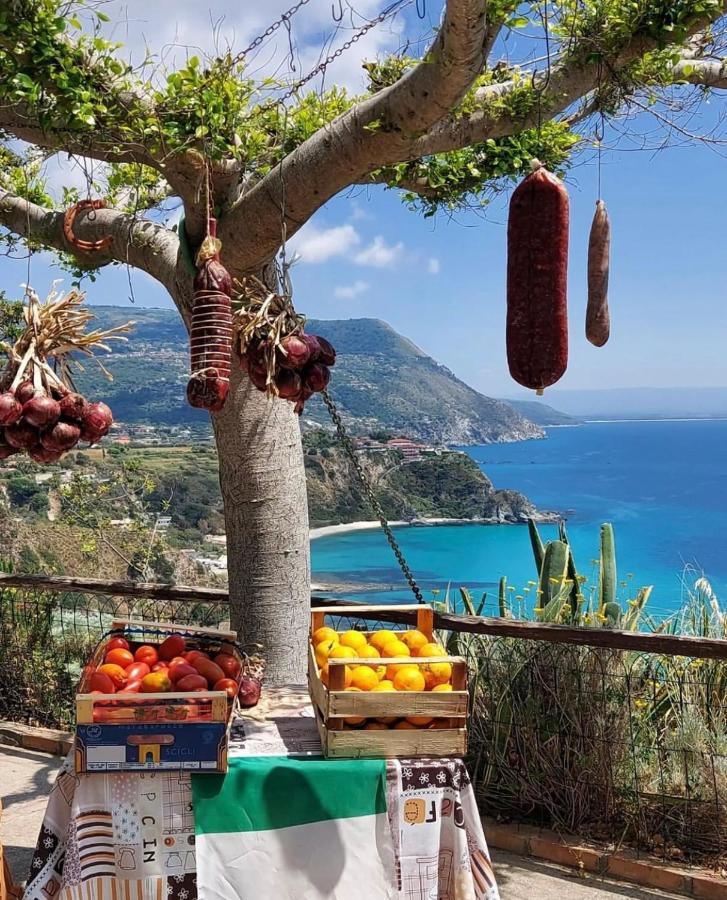 Il Giardino Di Capo Vaticano B&B And Apartments エクステリア 写真
