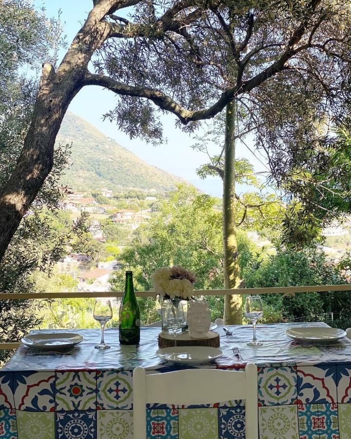 Il Giardino Di Capo Vaticano B&B And Apartments エクステリア 写真