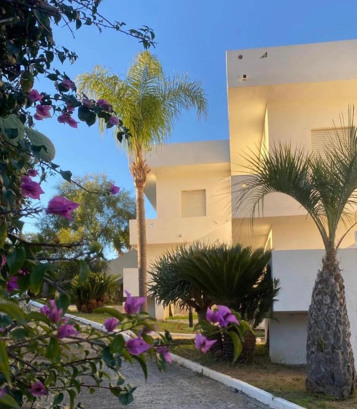 Il Giardino Di Capo Vaticano B&B And Apartments エクステリア 写真