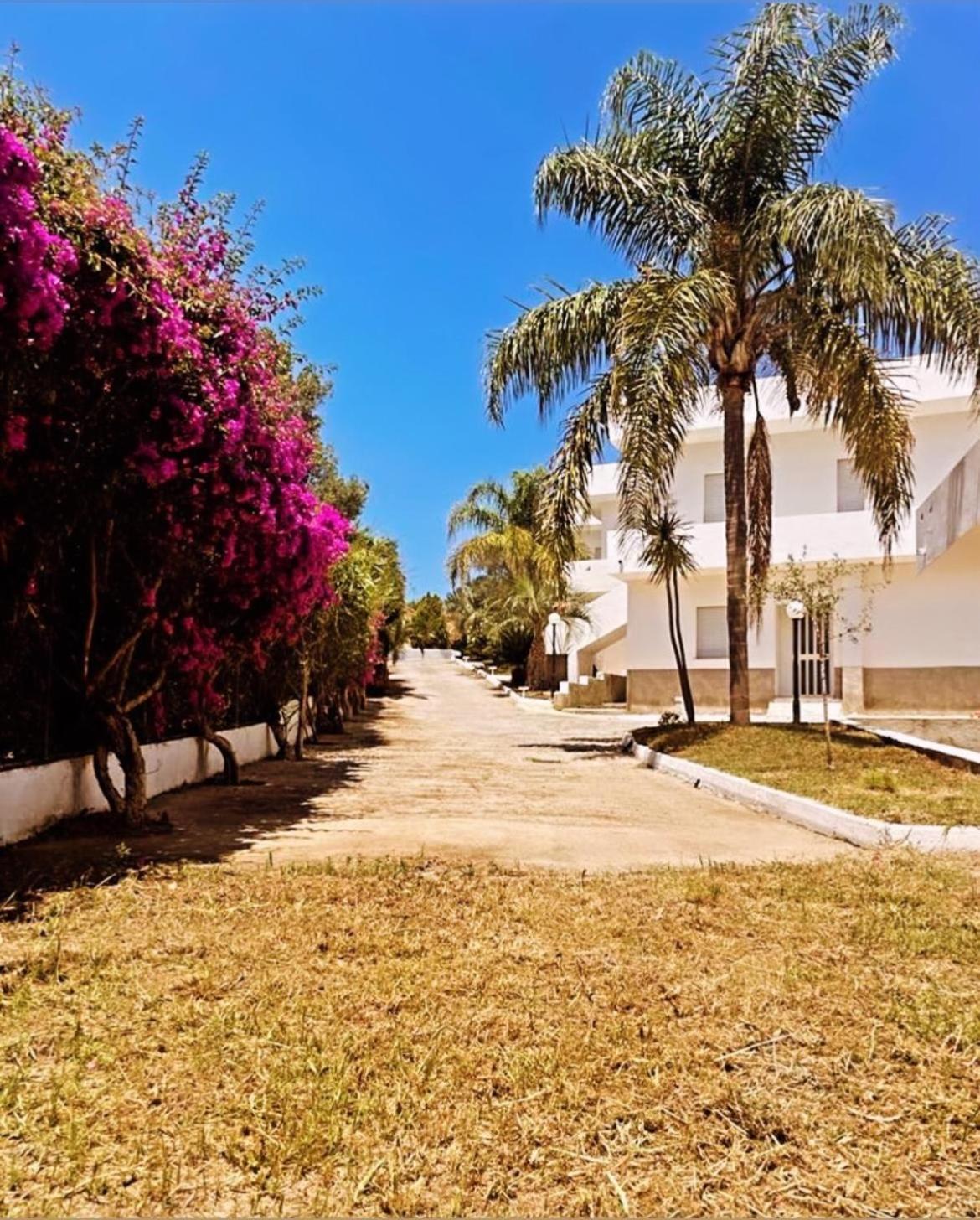 Il Giardino Di Capo Vaticano B&B And Apartments エクステリア 写真