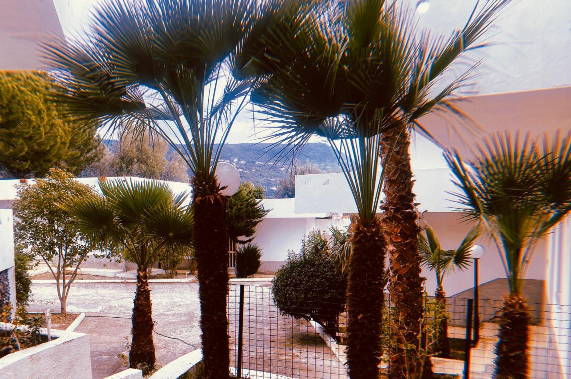 Il Giardino Di Capo Vaticano B&B And Apartments エクステリア 写真