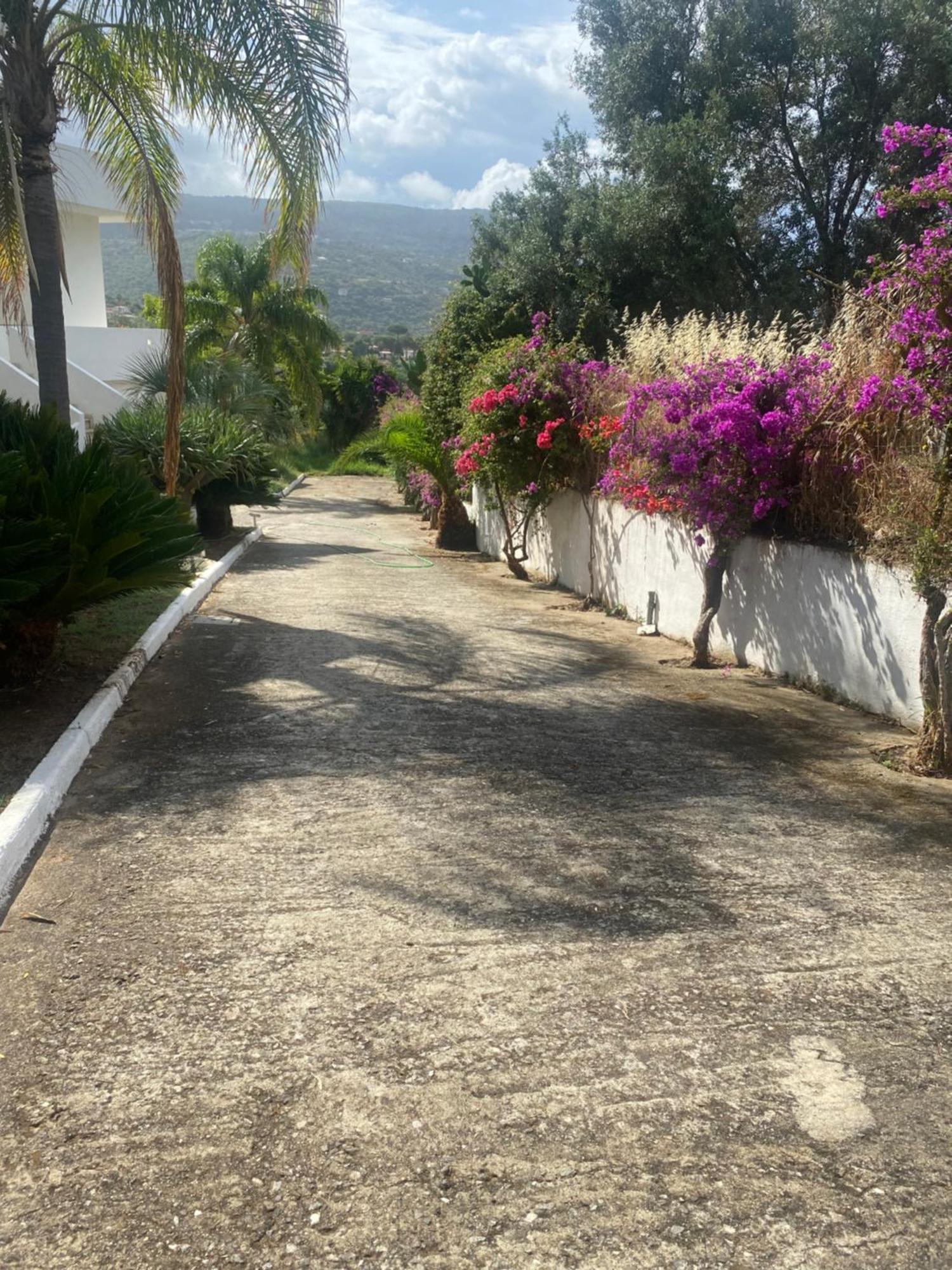 Il Giardino Di Capo Vaticano B&B And Apartments エクステリア 写真